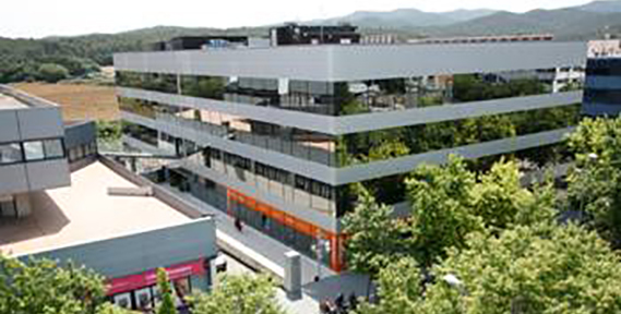 2007 2007